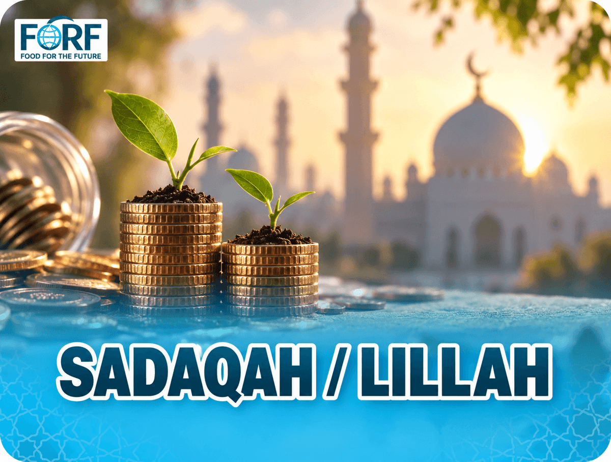 Sadaqah / lillah 