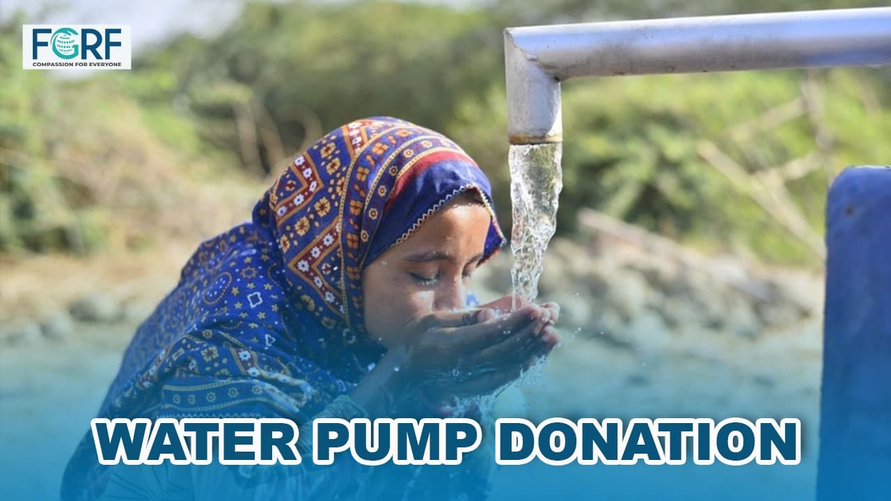 Water handpump image